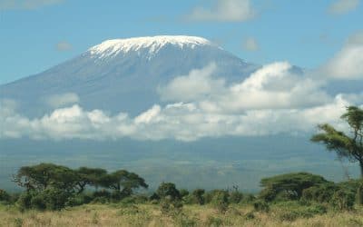 Amboseli National Park- Kenya’s best destination wildlife attraction