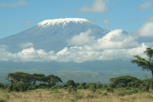 Amboseli National Park- Kenya’s best destination wildlife attraction