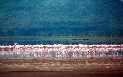 Kenya Lakes