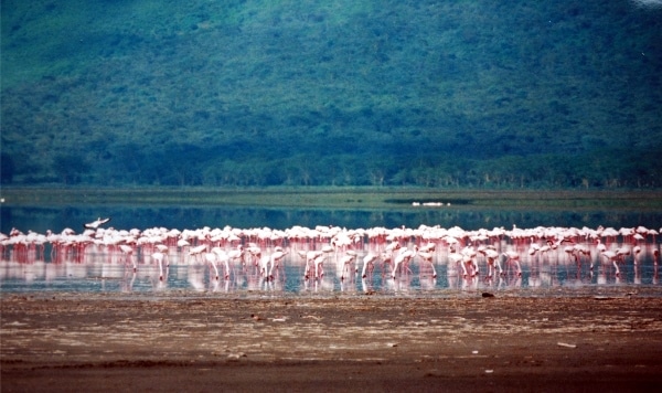 Kenya Lakes